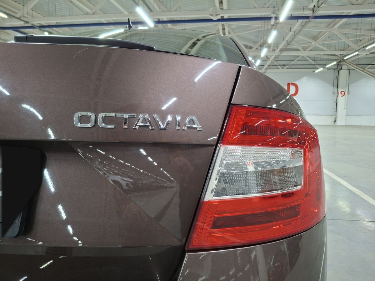 Skoda Octavia с пробегом — 2020 год. Фото: #8