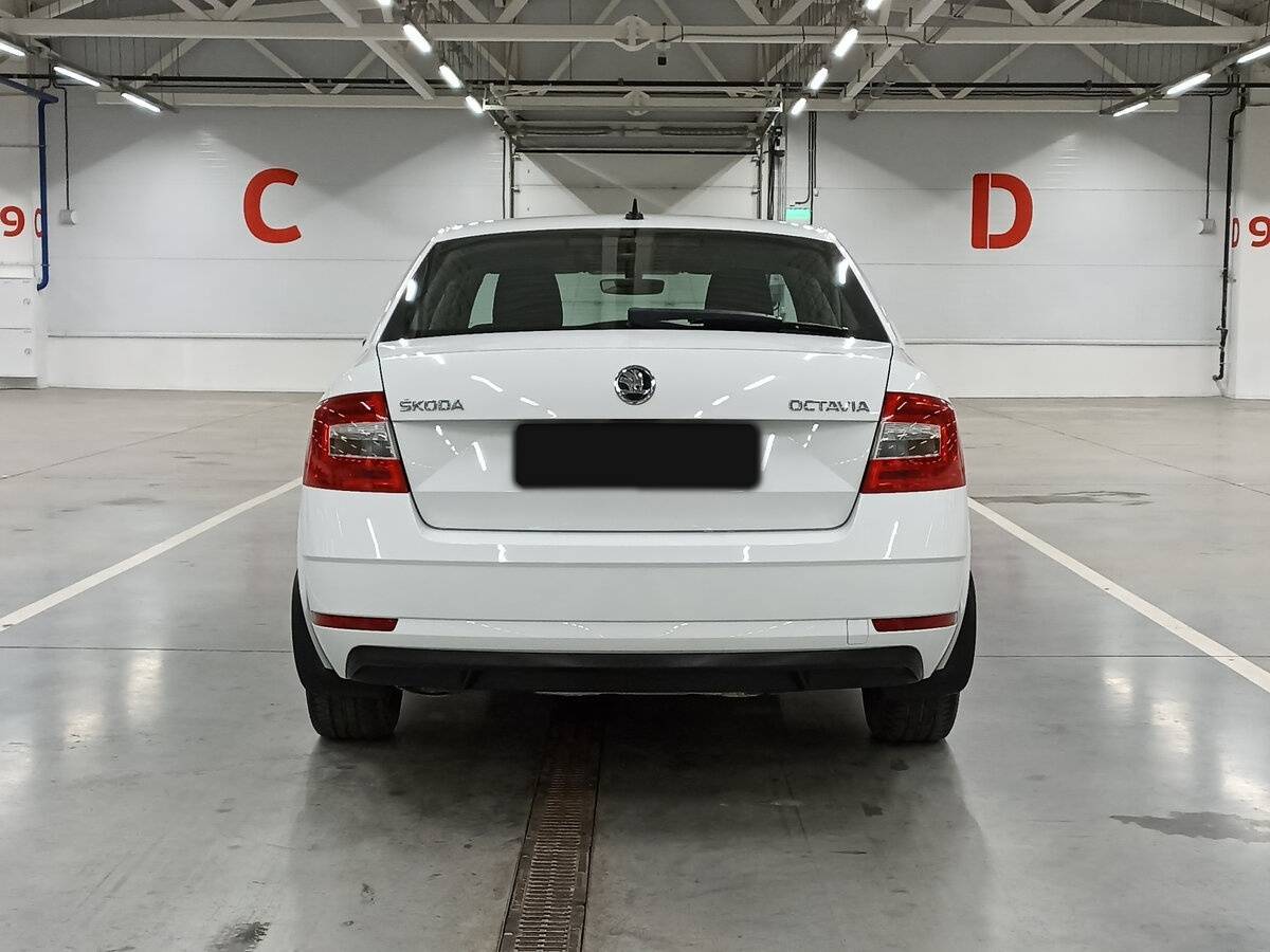 Skoda Octavia с пробегом — 2019 год. Фото: #5