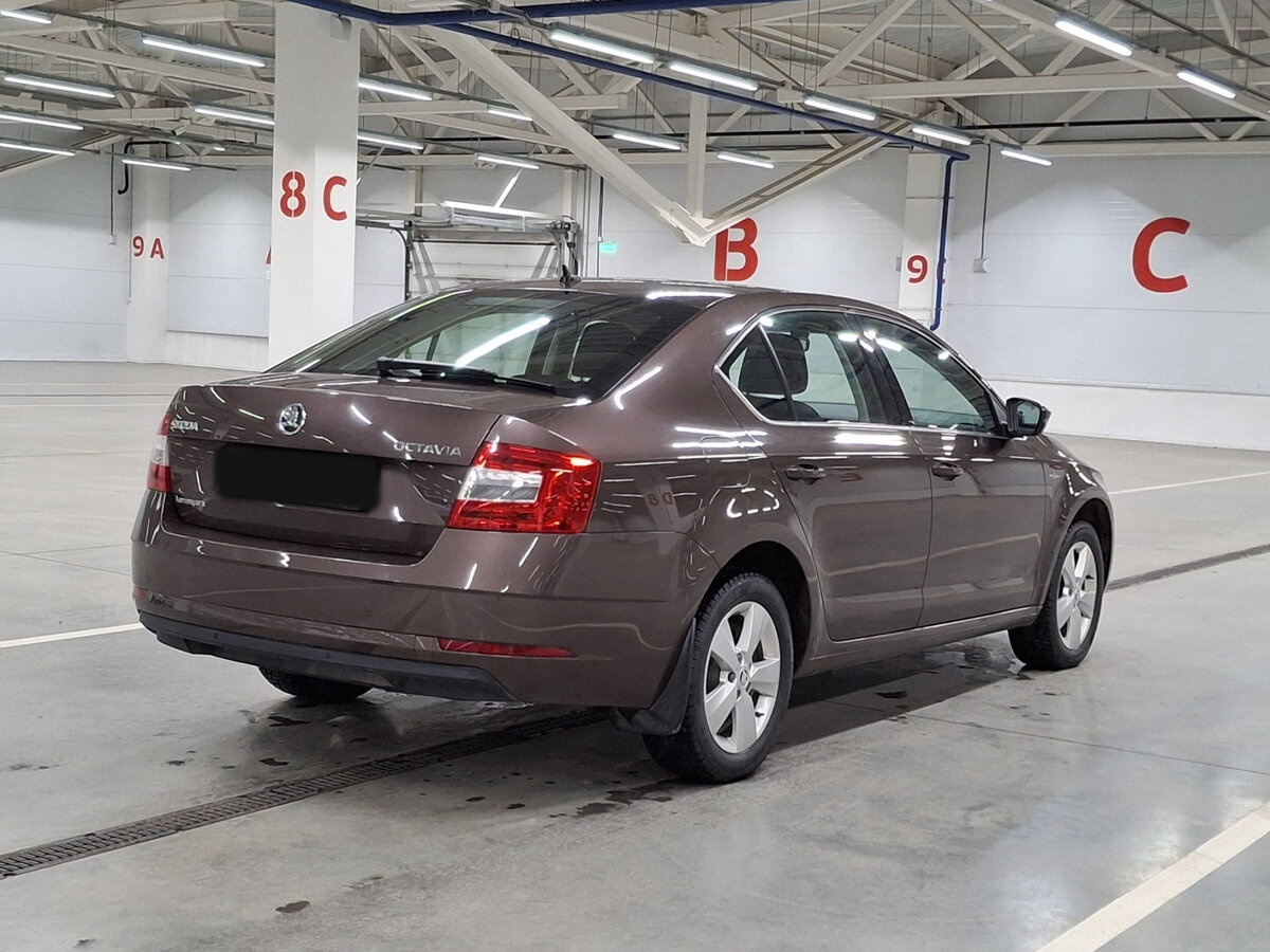 Skoda Octavia с пробегом — 2020 год. Фото: #4