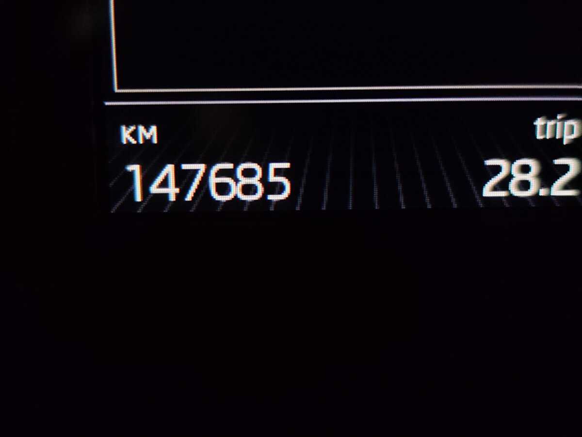 Skoda Octavia с пробегом — 2016 год. Фото: #6