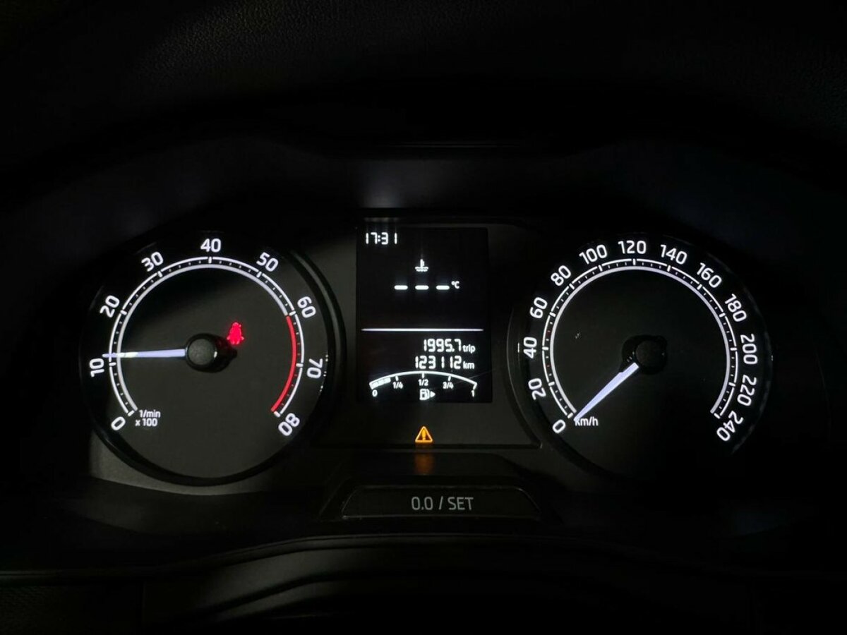 Skoda Rapid с пробегом — 2020 год. Фото: #9