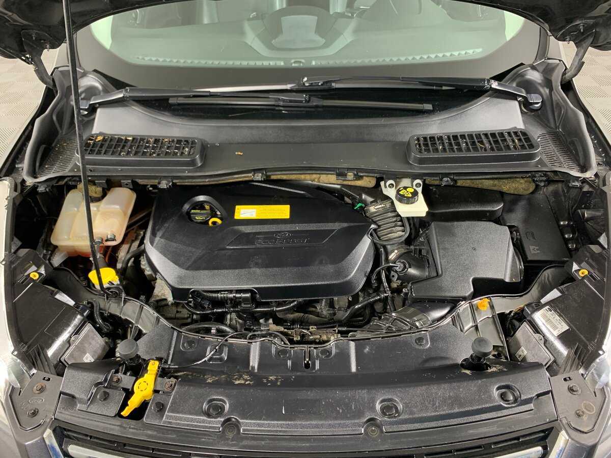 Ford Kuga с пробегом — 2016 год. Фото: #10