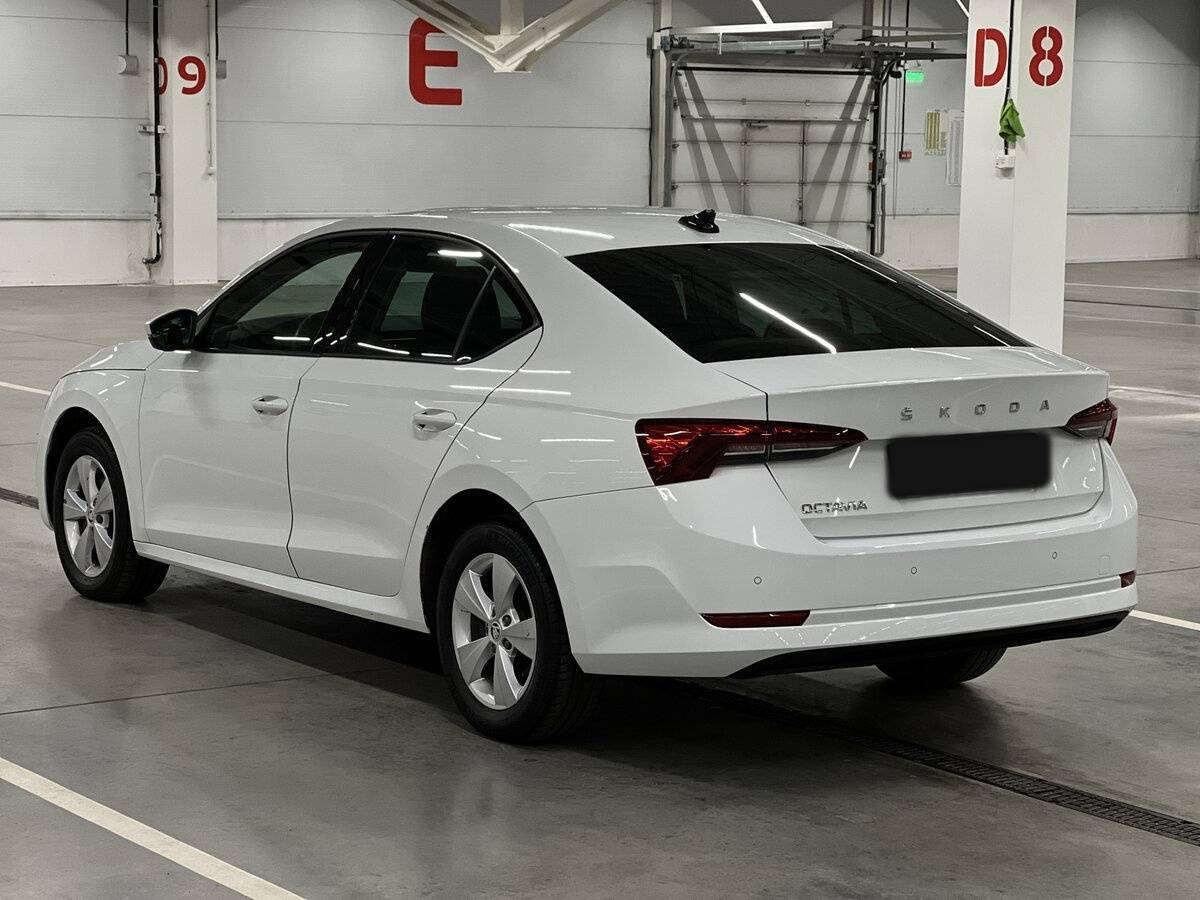 Skoda Octavia с пробегом — 2020 год. Фото: #6